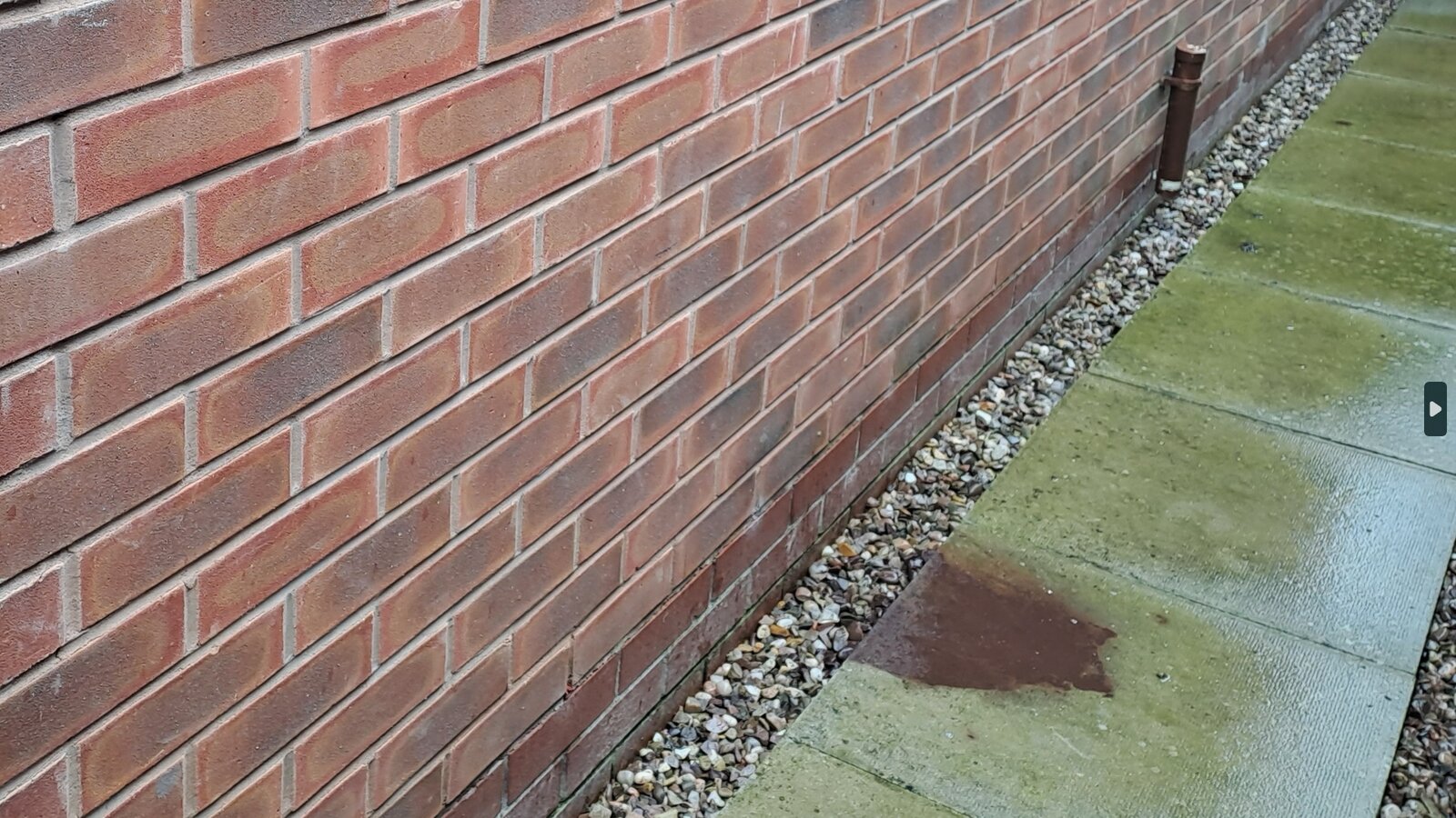 damp brickwork.jpg