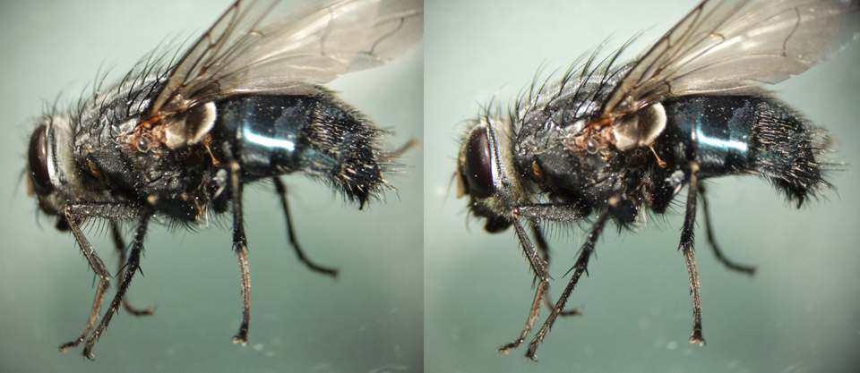 Fly3 2.10.11 small.jpg