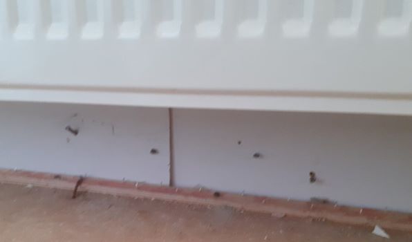 Keitai Joint Beneath Radiator.jpg