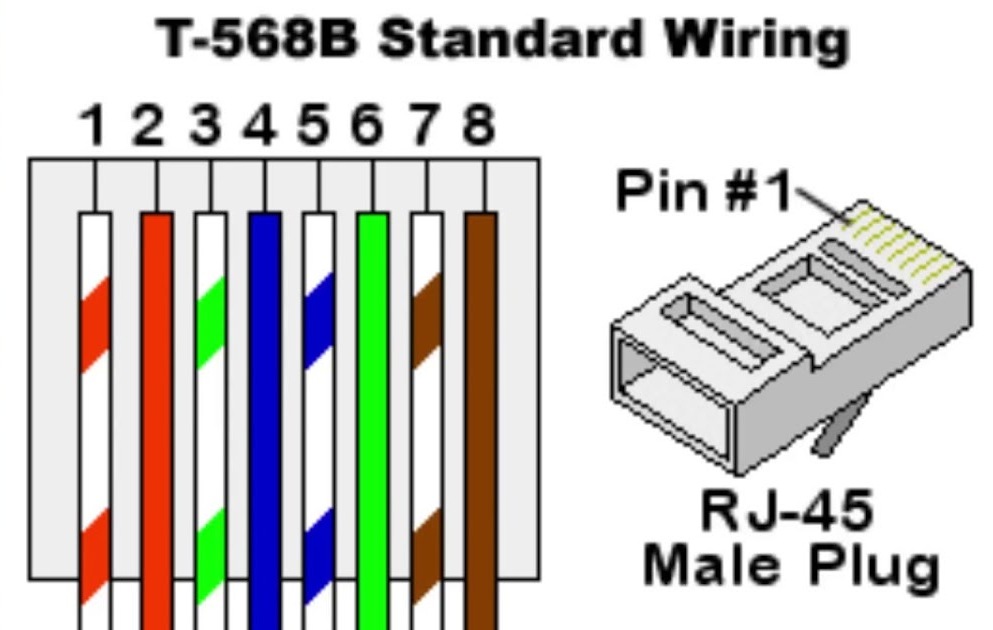 nbcSl9EXg5Qr9RjhEr0GkXvbxIanX52pQEoH0UtbI3xWwhPITS0csZ3CYIv6ecKoj9dnlxFJ9yyLZqFJ5wO3sdNZ92AHSA...jpg