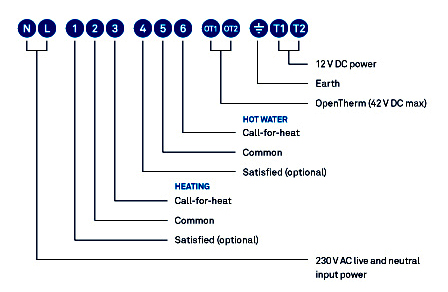 Nest-1.jpg