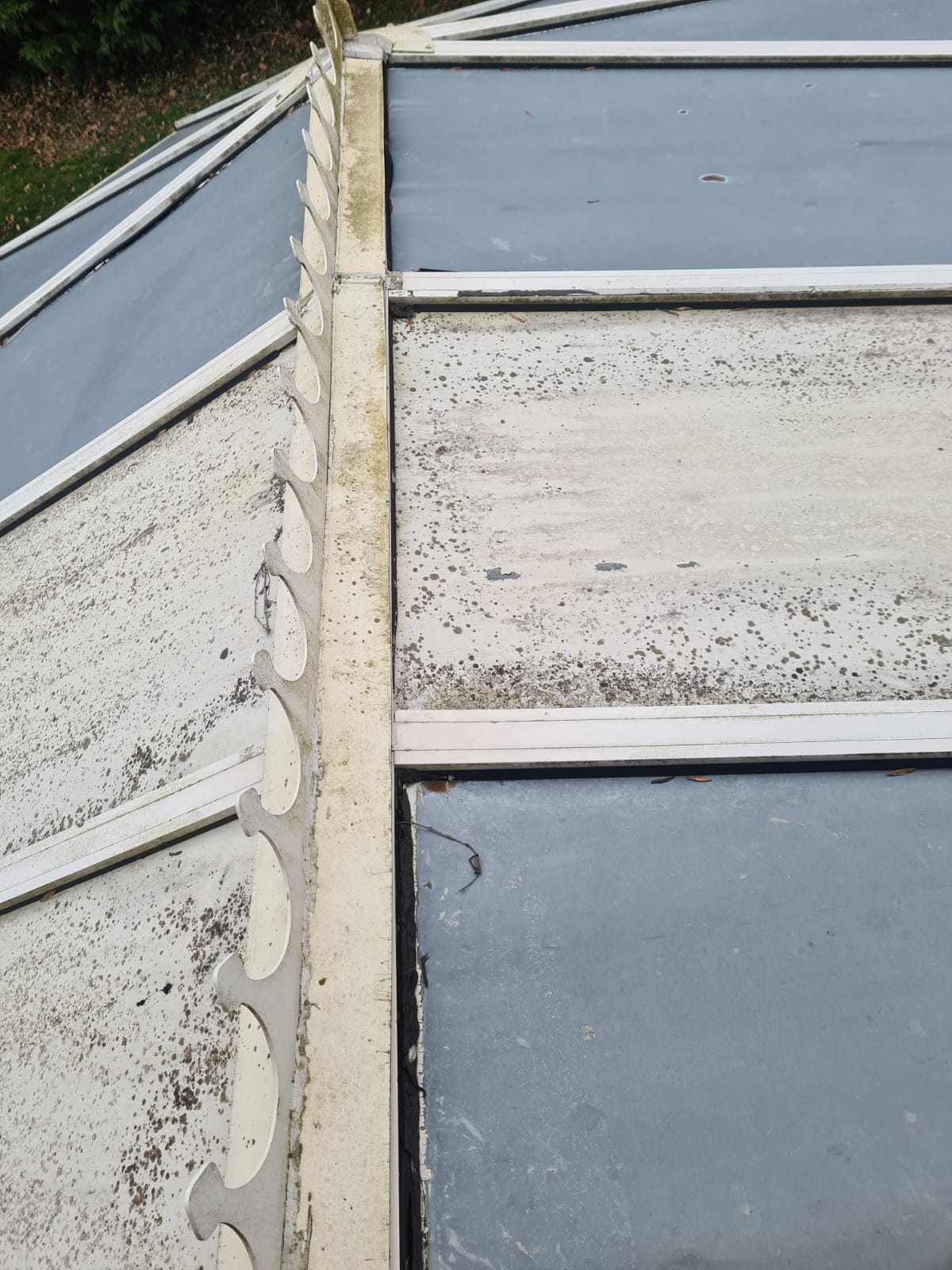 Roof Gap3.jpg