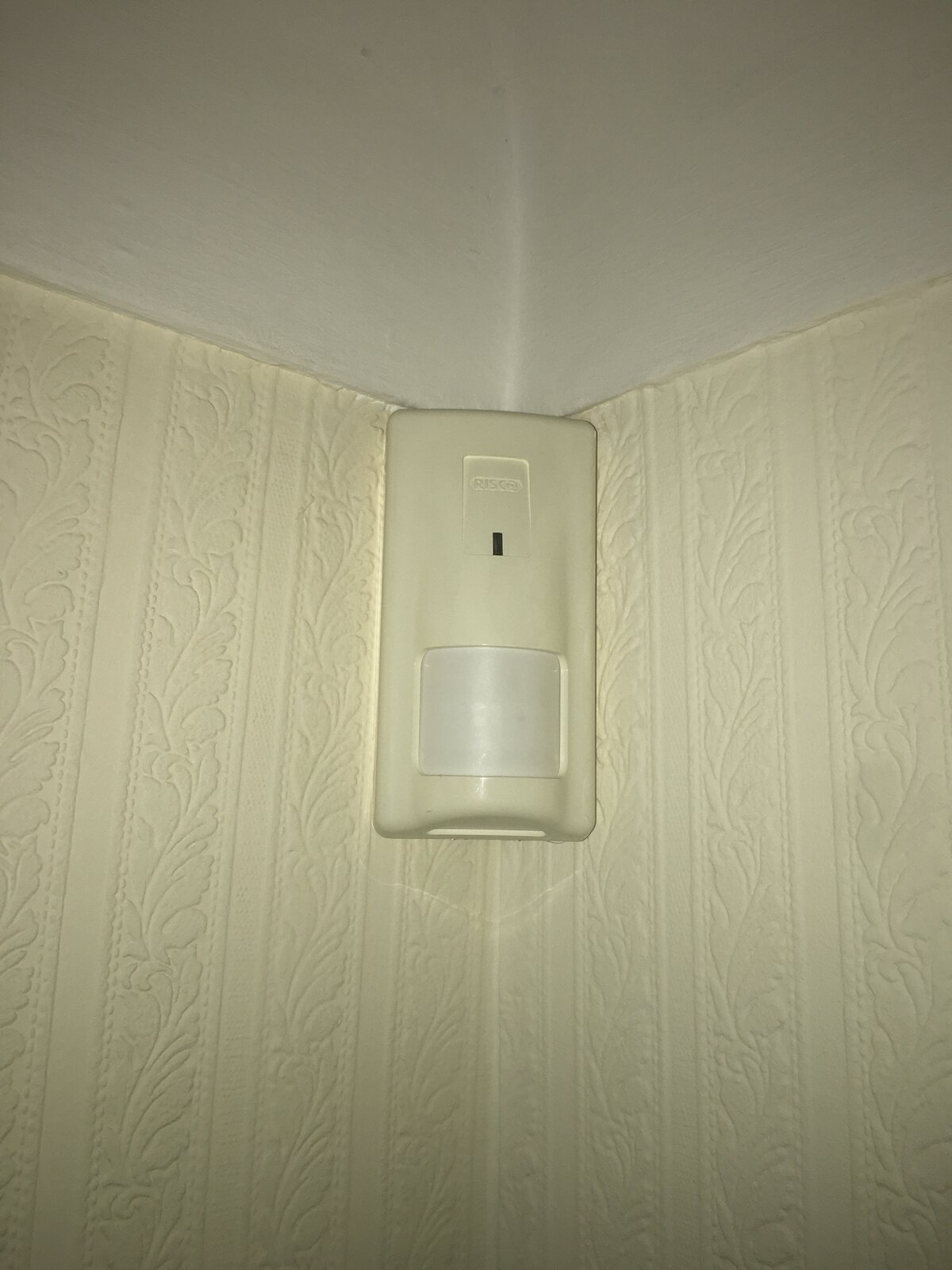 Room_wireless_detector_13_12_2023.JPG