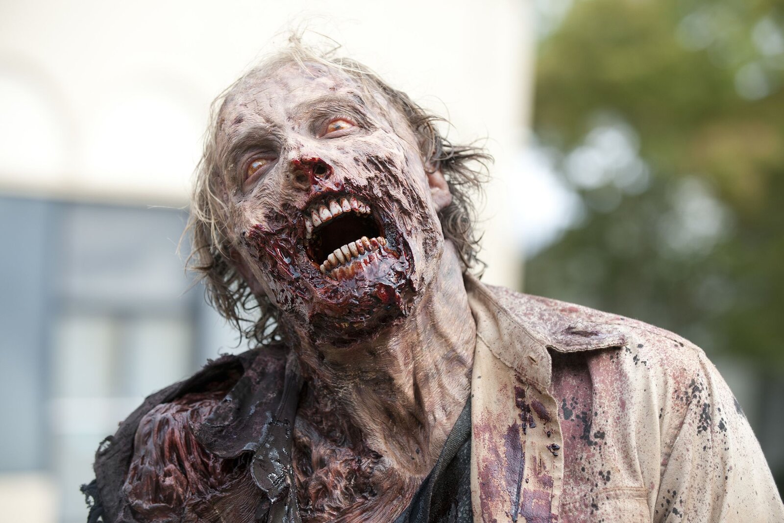 The_Walking_Dead_TV_502082_3840x2400.jpg