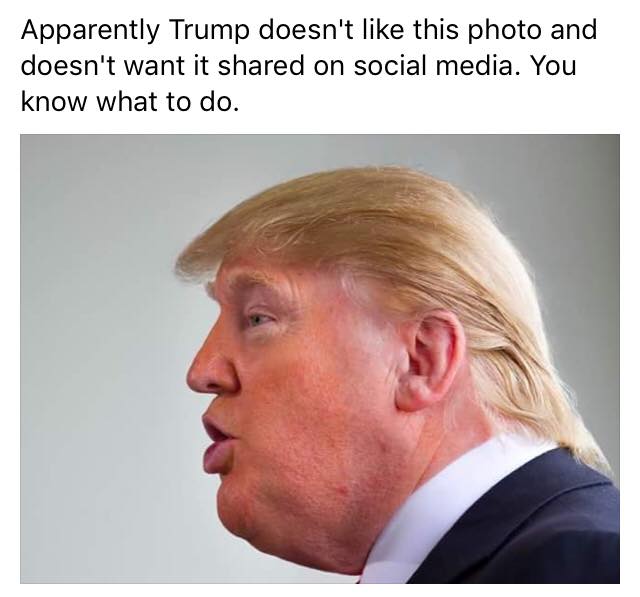 TrumpPig.jpg