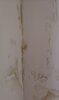 Room 1 damp zoomed in (2).JPG