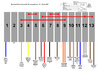 heating wiring centre with labels.jpg