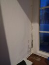 window damp1.jpg