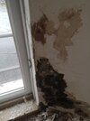 window plaster removed1.jpg