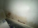 damp-internal-wall-1.jpg